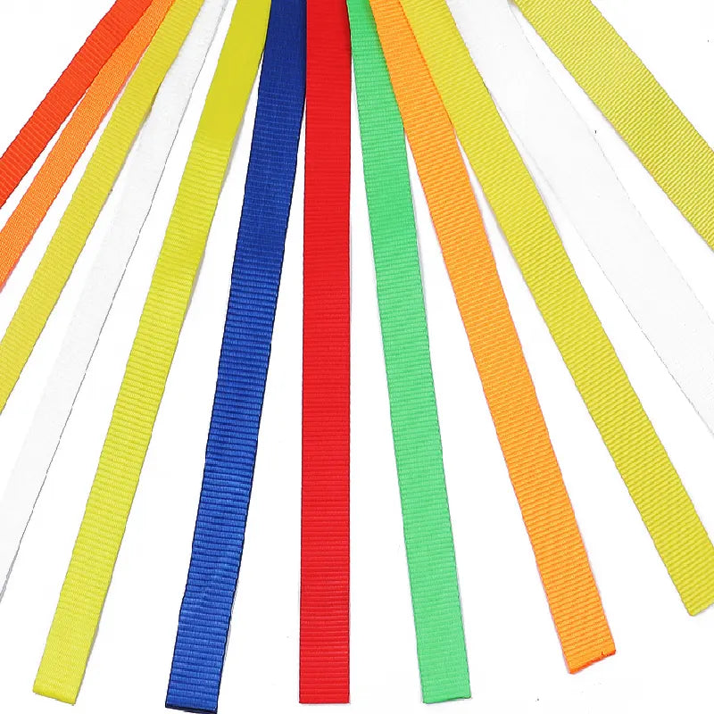 Cargo Lashing, Climbing Outdoors Indoors Crafting Webbing Heavy Duty 2 Inch Custom Polyester OEM Round Webbing Sling Top Lift